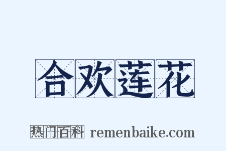 合欢莲花是什么意思的图片